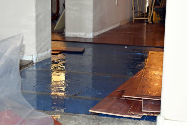 Professional Sewage Cleanup technician working in Harrison, MI